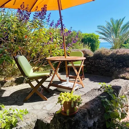 Quinta Perpetua, Casa Flores Santa Cruz da Graciosa Exterior photo