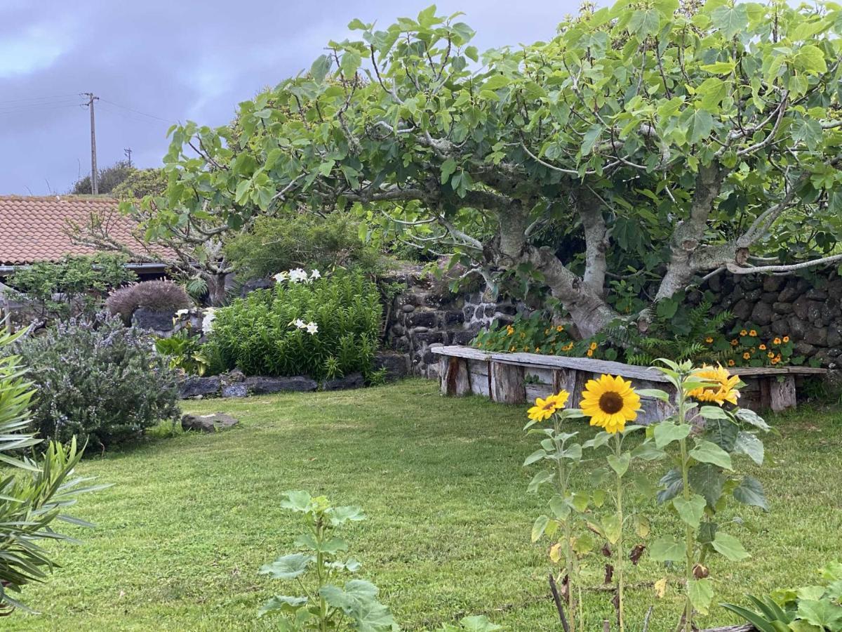 Holiday home Quinta Perpetua, Casa Flores