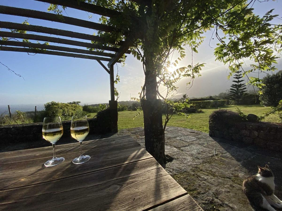 Holiday home Quinta Perpetua, Casa Flores
